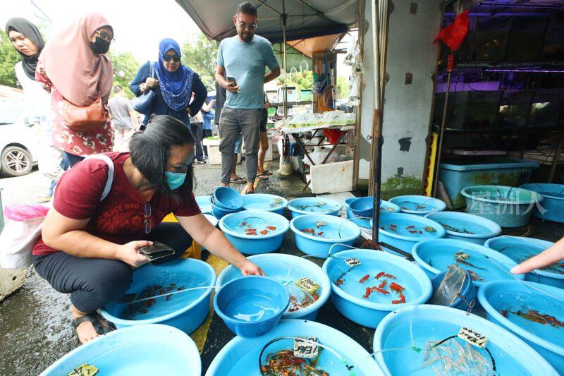 ¬P¬w¤H¯S½Z-´M³½¤Ñ°ó °OªÌ¡G¾Ð¶² Äá¼v¡G¶À¦B¦B