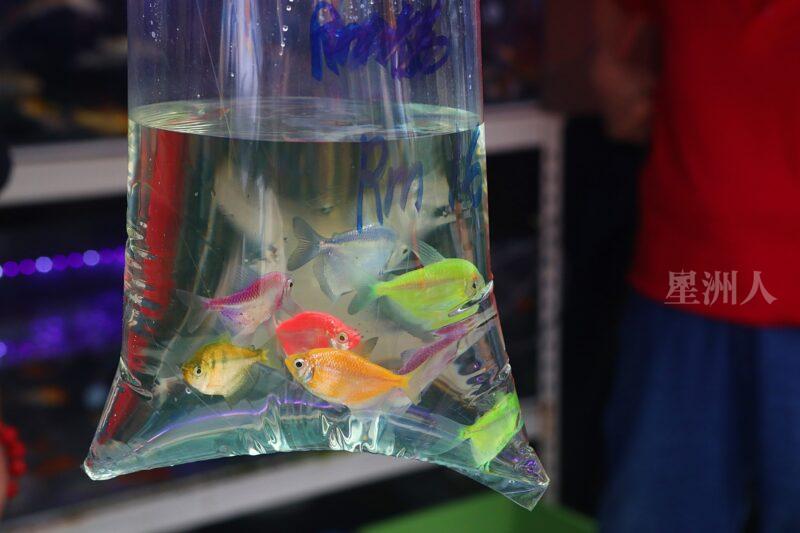 ¬P¬w¤H¯S½Z-´M³½¤Ñ°ó °OªÌ¡G¾Ð¶² Äá¼v¡G¶À¦B¦B