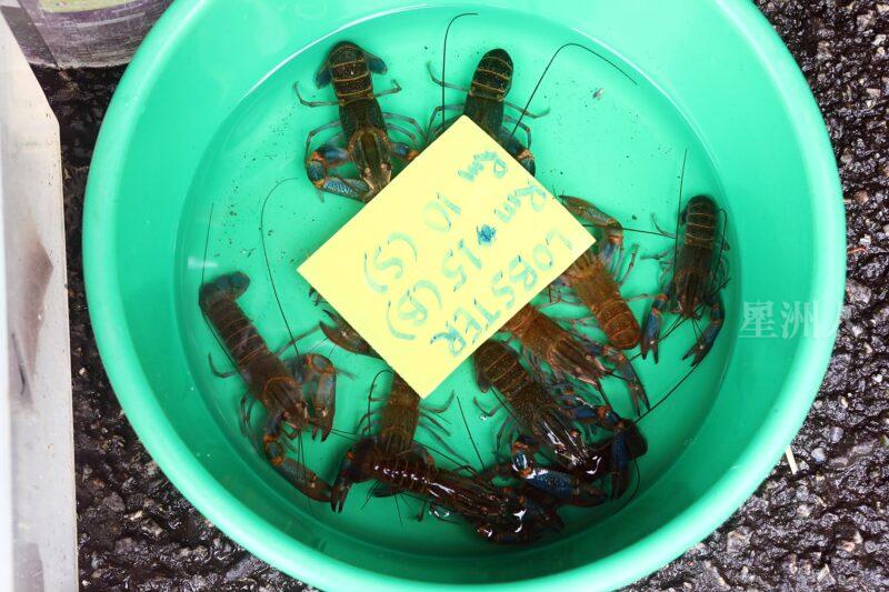 ¬P¬w¤H¯S½Z-´M³½¤Ñ°ó °OªÌ¡G¾Ð¶² Äá¼v¡G¶À¦B¦B