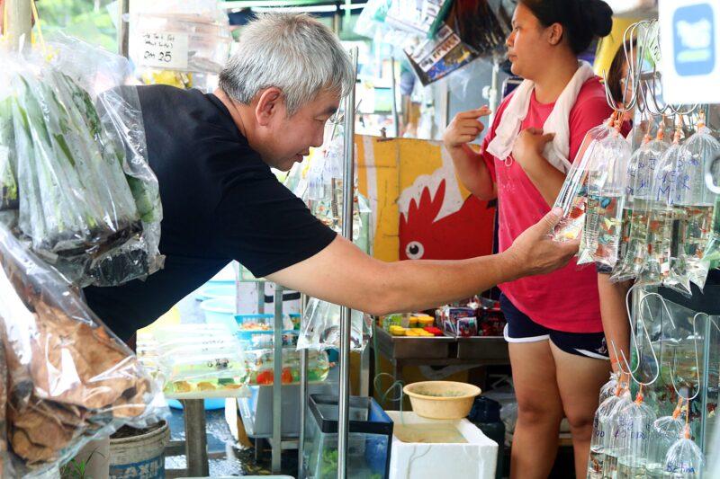 ¬P¬w¤H¯S½Z-´M³½¤Ñ°ó °OªÌ¡G¾Ð¶² Äá¼v¡G¶À¦B¦B