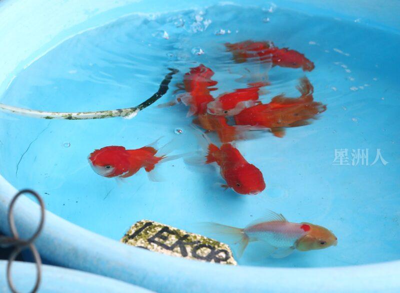 ¬P¬w¤H¯S½Z-´M³½¤Ñ°ó °OªÌ¡G¾Ð¶² Äá¼v¡G¶À¦B¦B