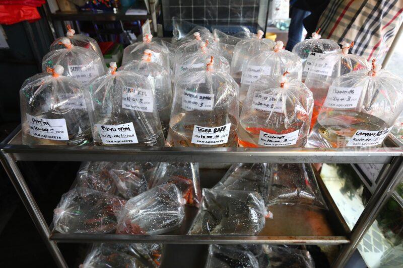 ¬P¬w¤H¯S½Z-´M³½¤Ñ°ó °OªÌ¡G¾Ð¶² Äá¼v¡G¶À¦B¦B