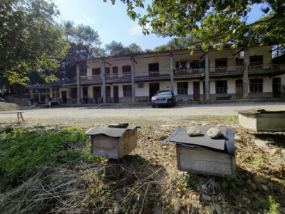 卓衍豪/善用风土优势,创造偏乡骄傲