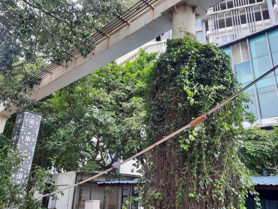 单轨火车道铜条掉落