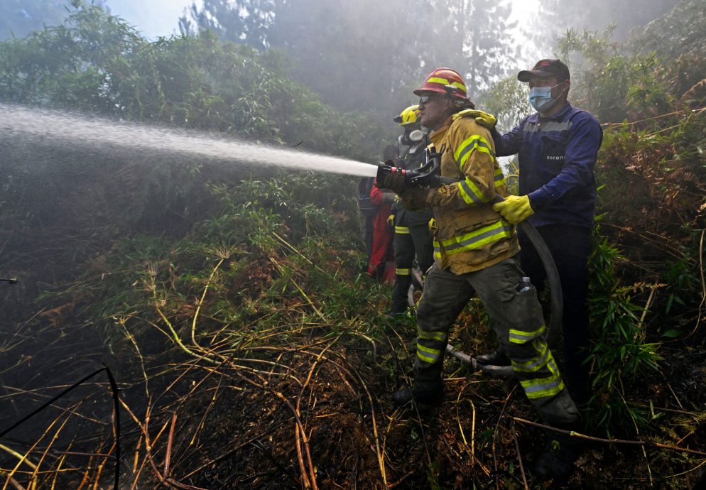 南美洲盛夏又热又乾 阿根廷哥伦比亚野火肆虐