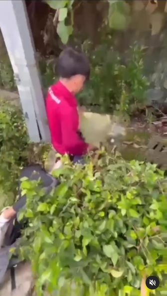 压同学在地 往头上倒树叶·隆国中传校园霸凌事件