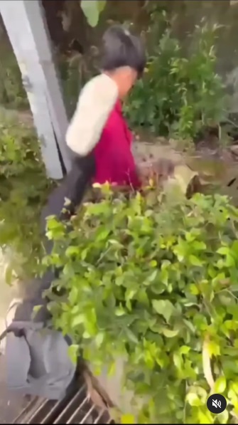 压同学在地 往头上倒树叶·隆国中传校园霸凌事件