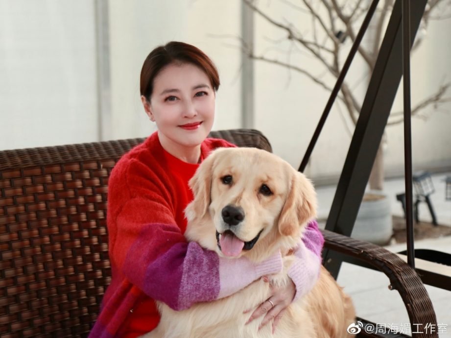 周海媚狗狗全找到新主人　网看哭：看着心酸