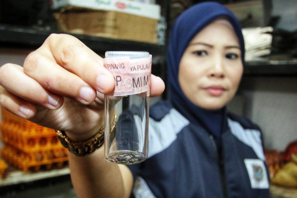 大人物曾光顾 中东餐馆有鼠粪查封