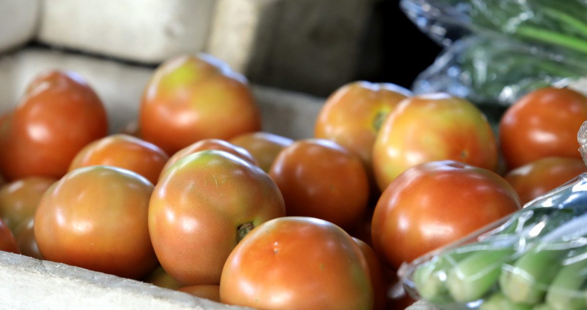 大都会 / 本地芽菇价格暴涨 / 11图