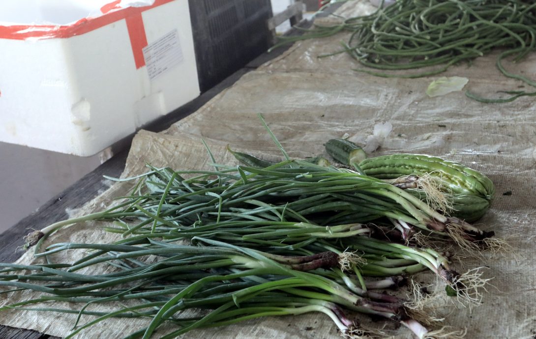 大都会 / 本地芽菇价格暴涨 / 11图