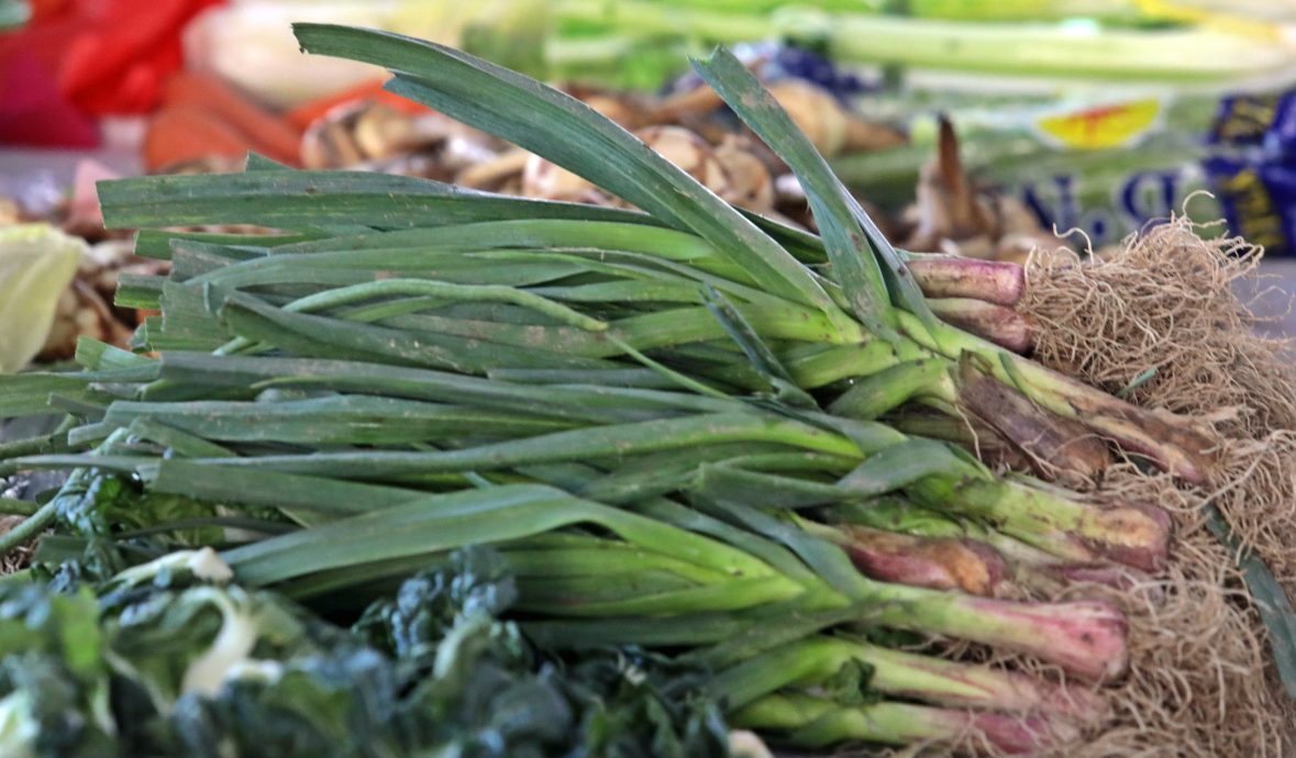 大都会 / 本地芽菇价格暴涨 / 11图