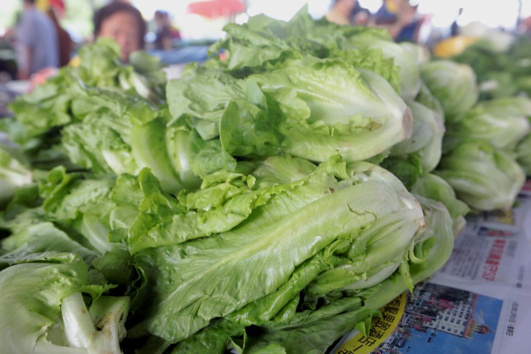 大都会 / 本地芽菇价格暴涨 / 11图