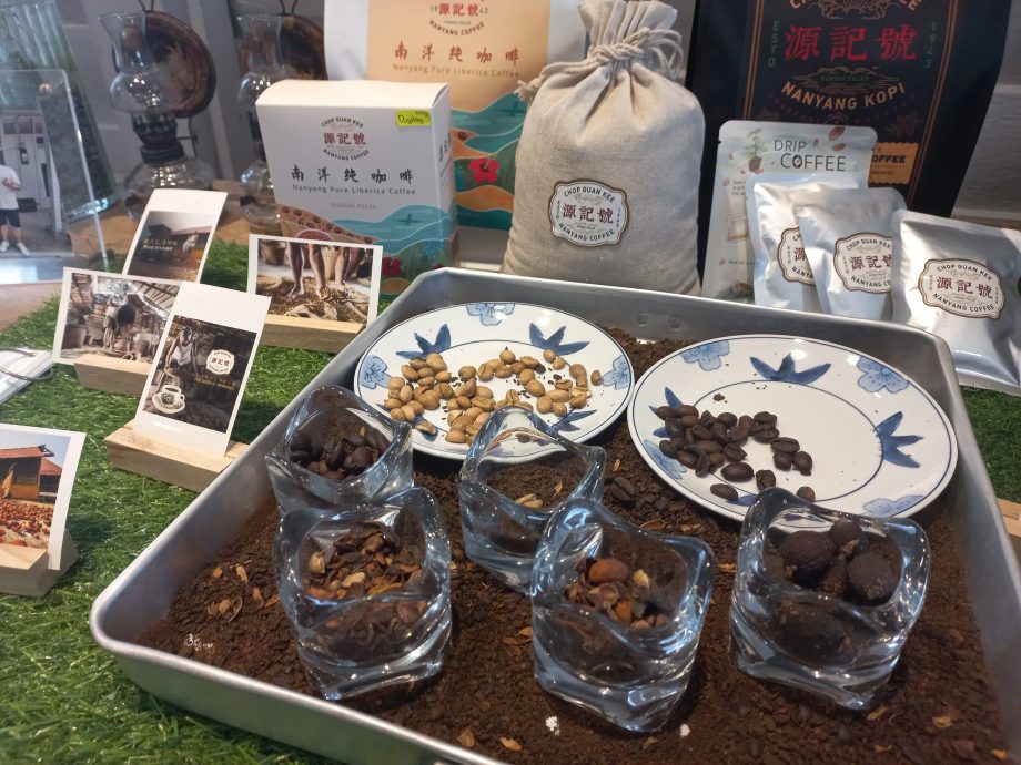 大都会 / 跃上跃下观光巴士 媒体游雪邦