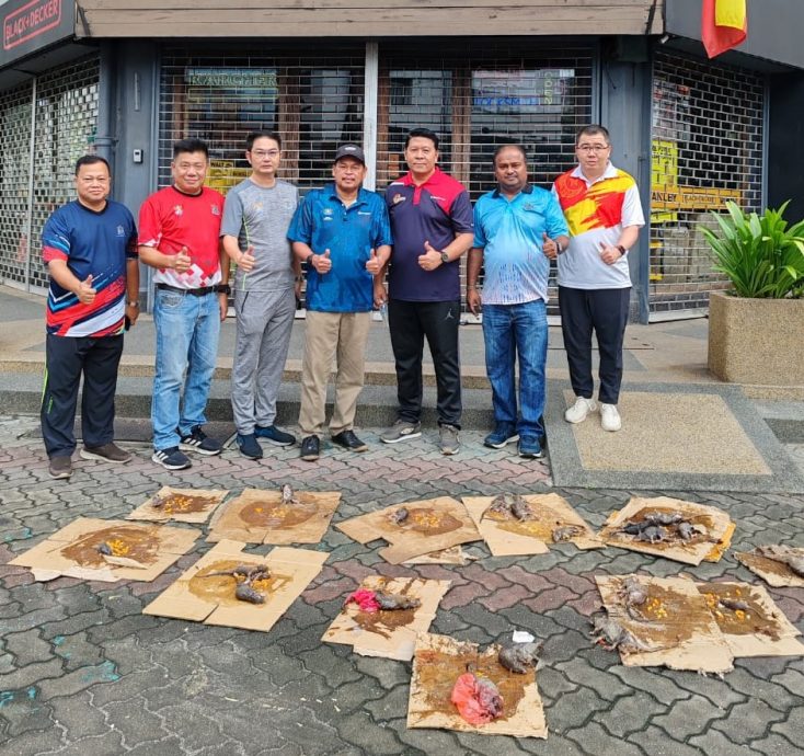 大都会/“爱巴生”清洁运动/10图(可选下)