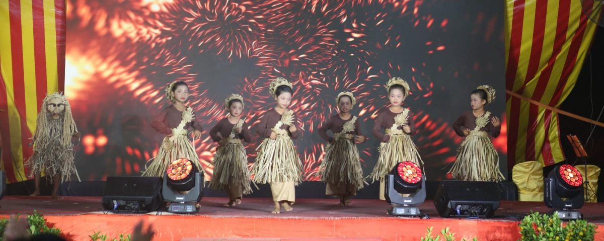 大都会/仁村“团结新春，和谐新村”幸福之夜！／13图