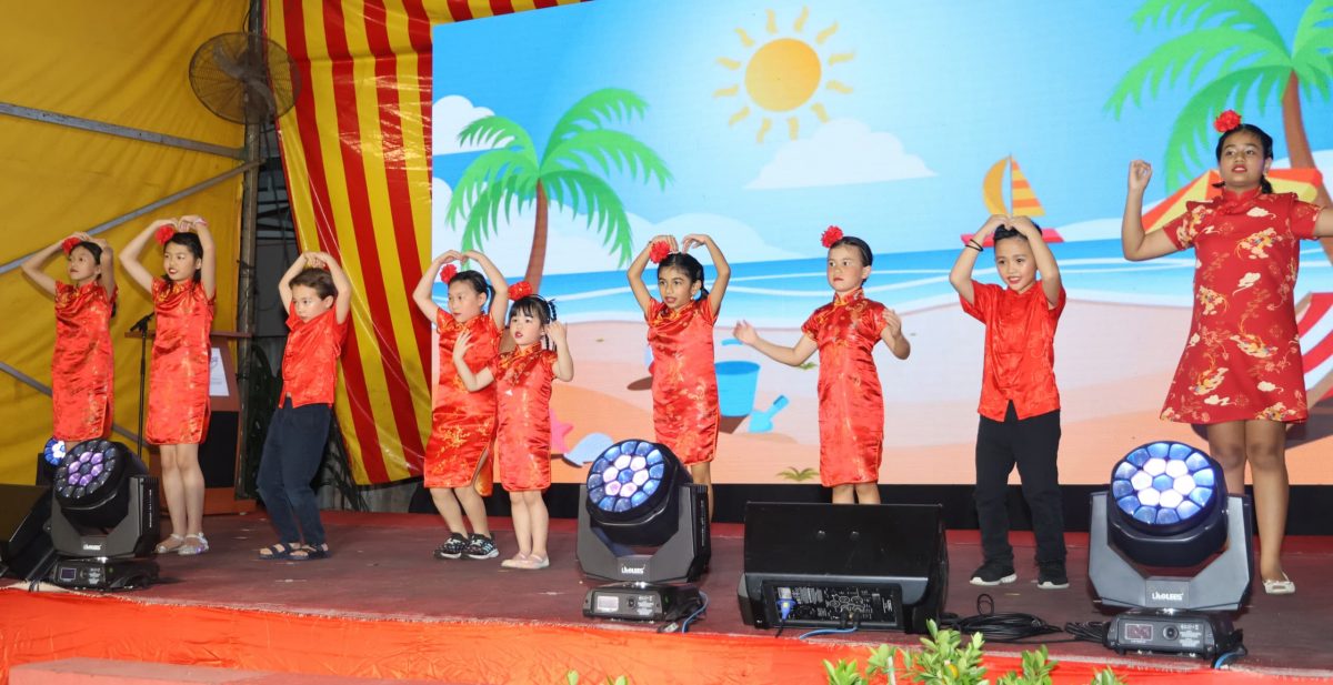 大都会/仁村“团结新春，和谐新村”幸福之夜！／13图