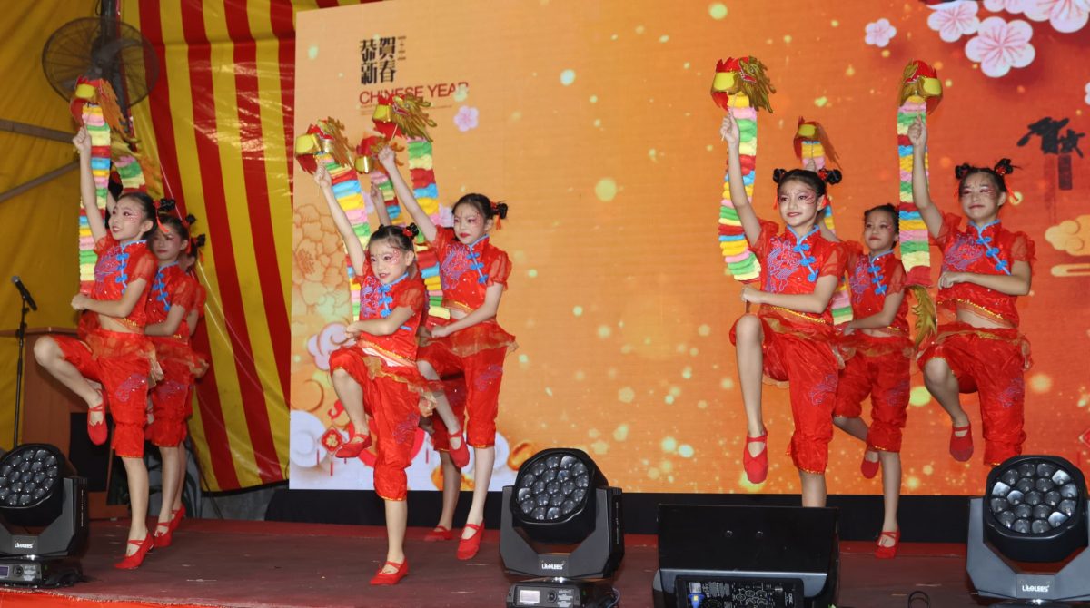 大都会/仁村“团结新春，和谐新村”幸福之夜！／13图