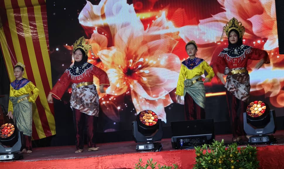 大都会/仁村“团结新春，和谐新村”幸福之夜！／13图