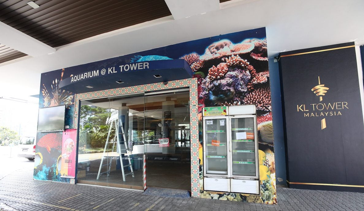 大都会/吉隆坡塔蓄势待发,提升基设打造全新旅游景点/7图