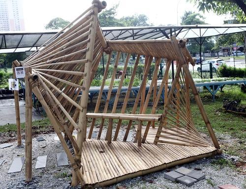 大都会/大专生在菜园打造my bamboo
