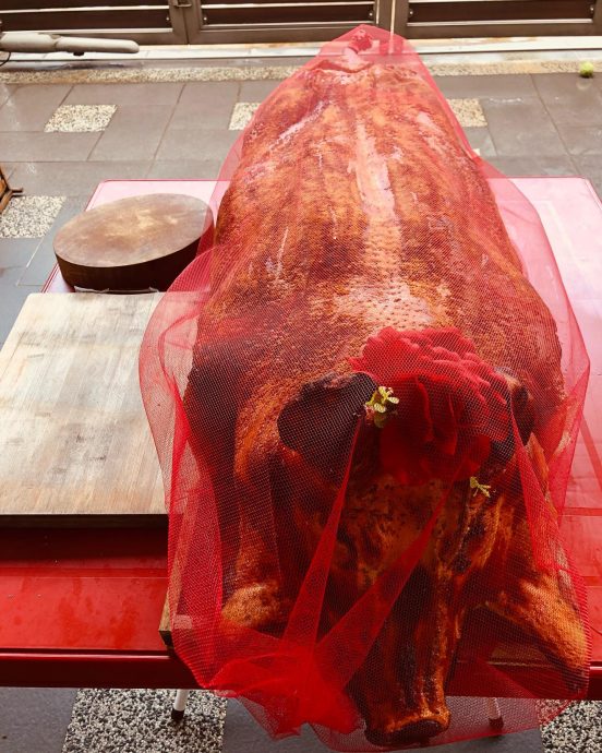 大都会/封面/农历新年金猪订单反应热烈