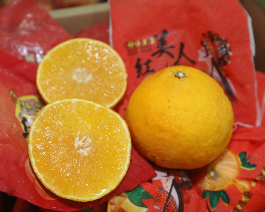 大都会封面/年柑开始上市