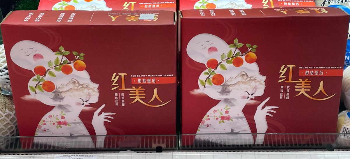 大都会封面/年柑开始上市