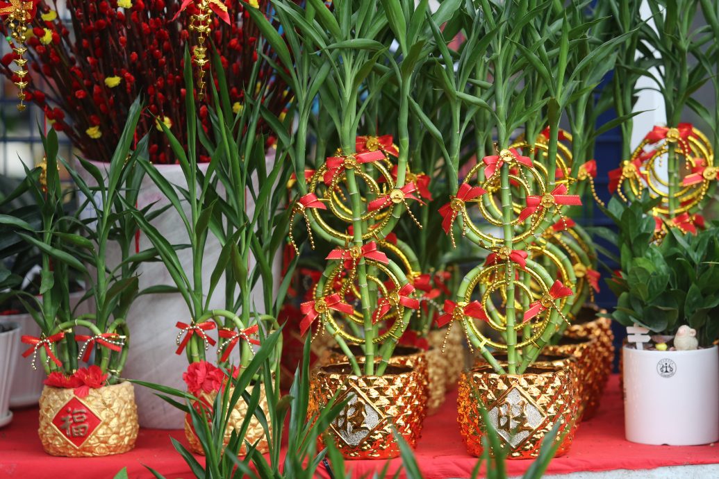 大都会封面/年花上市 经济不景但不影响买气