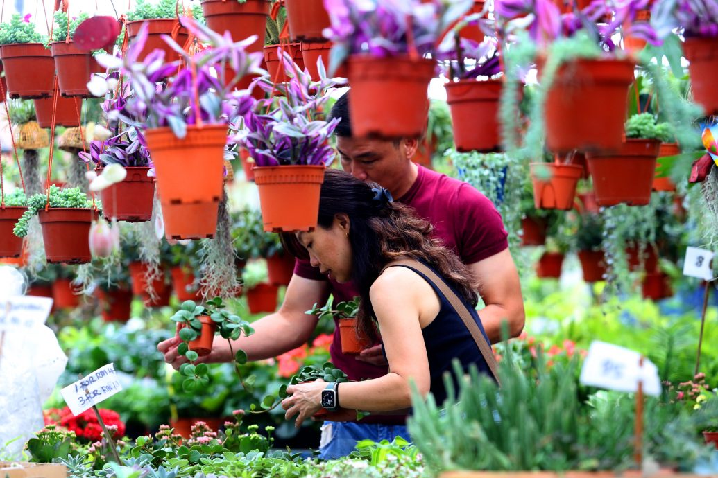 大都会封面/年花上市 经济不景但不影响买气