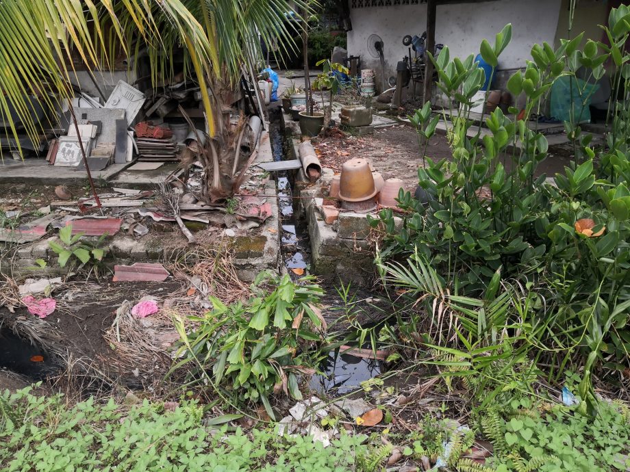 大都会/巴生今年483宗骨痛热症