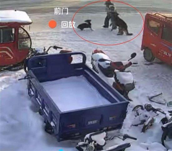 女子遭狗咬留13处伤口 狗主不赔钱:不行就把狗打死得了!