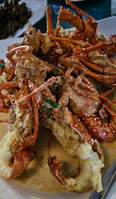 **已签发**柔:南北吃东西:沙巴海鲜(下)