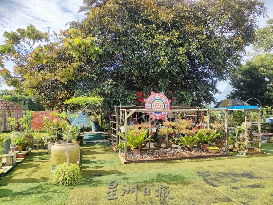 **已签发**柔:封面:【特稿】:古来乐龄村打造生态园,望洗涤市民身心灵
