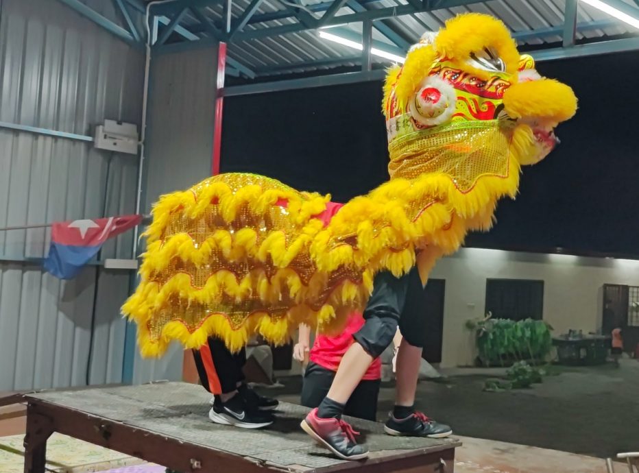 **已签发**柔:封面:【特稿】:幼狮团新年出团邀请增,小团员期待重出江湖