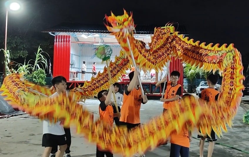 **已签发**柔:封面:【特稿】:幼狮团新年出团邀请增,小团员期待重出江湖