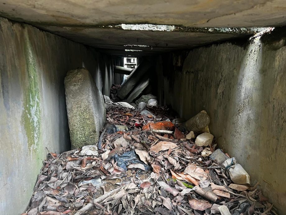 **已签发**柔：封面：【特稿】：高科技治水，士姑来首试行；无人机、机器人助找水灾源头