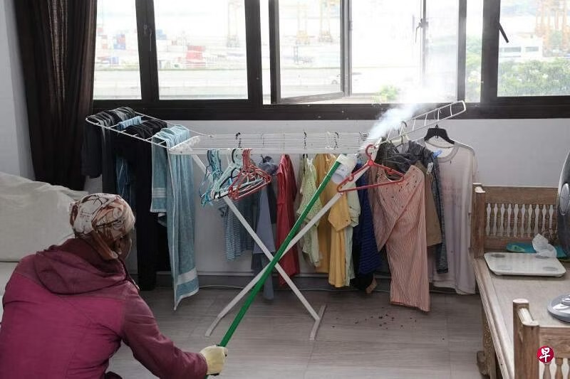 *已签发*柔:狮城二三事:群蜂晾衣架筑巢 狮城组屋女租户求助