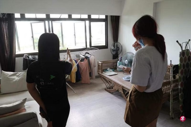 *已签发*柔:狮城二三事:群蜂晾衣架筑巢 狮城组屋女租户求助