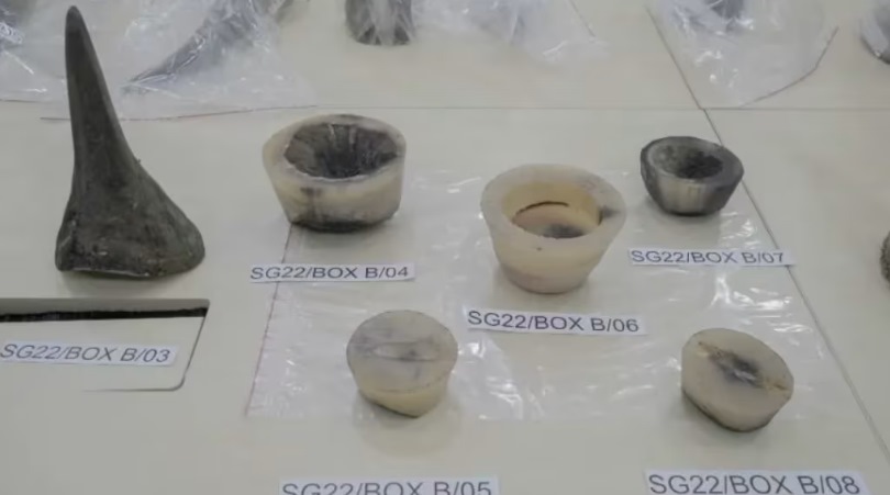 *已签发*柔:狮城二三事:试图走私犀牛角至寮国 南非男子狮城落网认罪