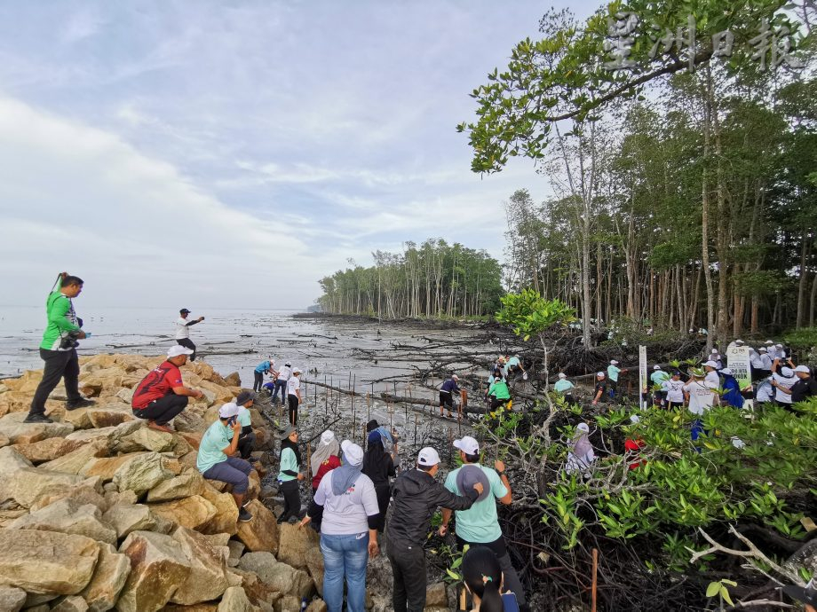**已签发**柔：第二版头条：柔5年要种400万棵树，已种150万，盼两年内达标