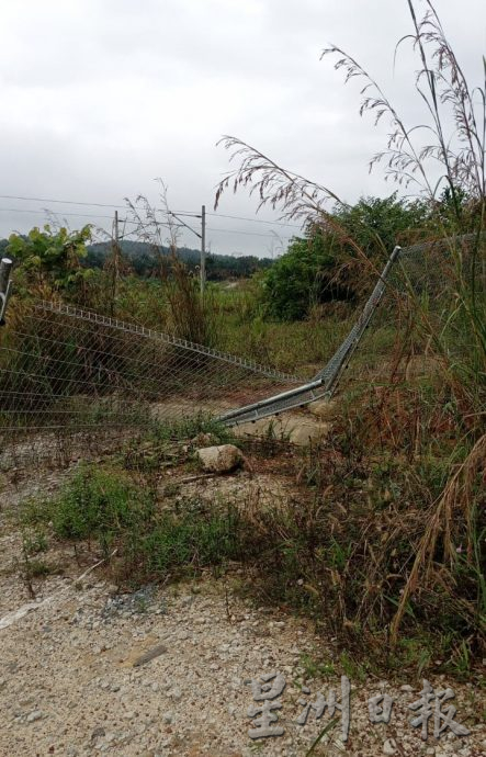 **巳签发**柔：野象5度袭园地推倒500香蕉树，农民损失3万