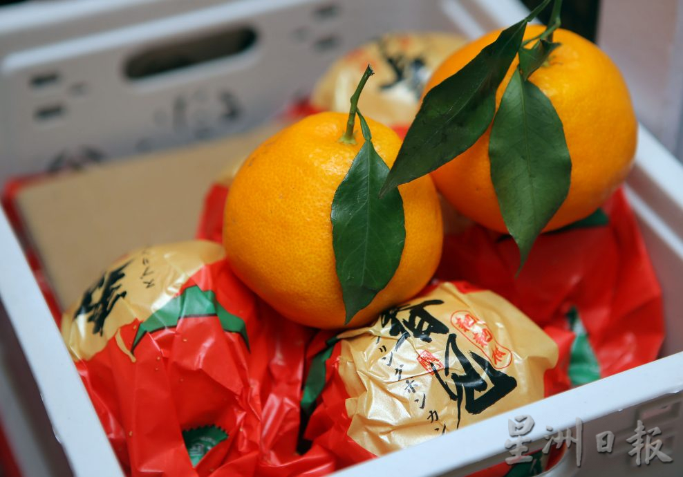 年柑上市啦！果肉成熟饱满香甜多汁 品质胜去年