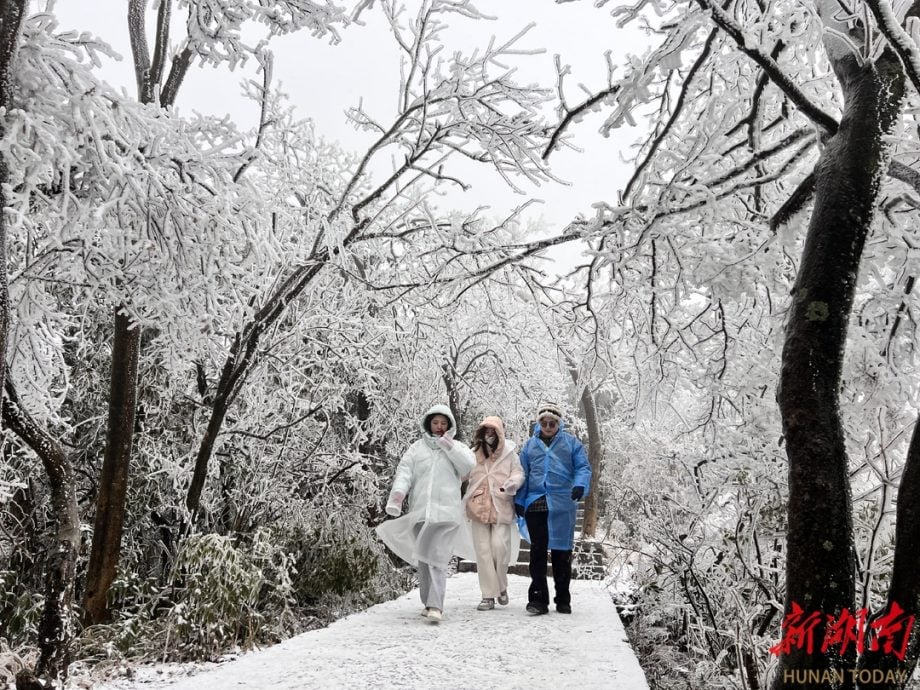 张家界迎来2024年首场大雪