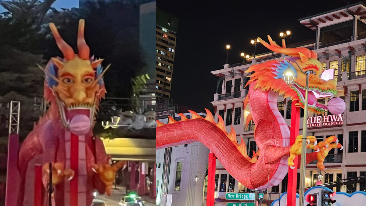 拍照角度和灯光很重要!网民:巨龙竟长得像怪叔叔
