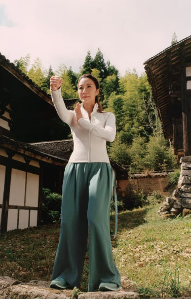 杨紫琼女侠气场全开  把新年广告片变武侠片