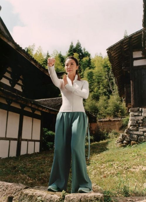 杨紫琼黑帮剧大获好评 《孙家兄弟》留伏线拍第2季？	