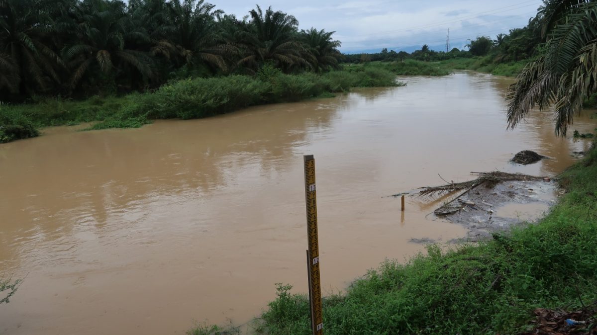柔︰雨量中等河水却爆涨  三合港人虚惊