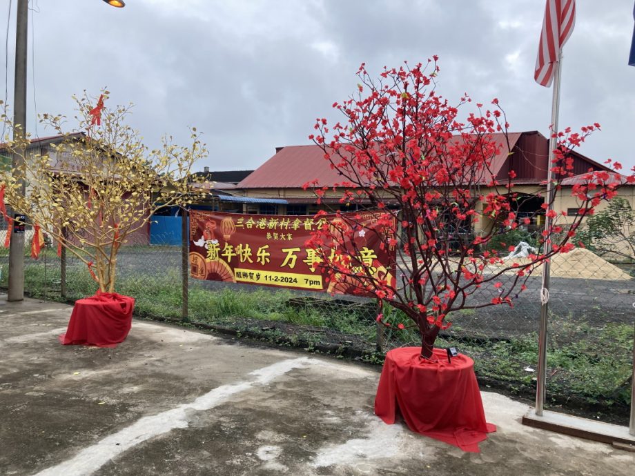 柔: 三合港新春造景 温馨 娘子军联手打造盼开心过龙年