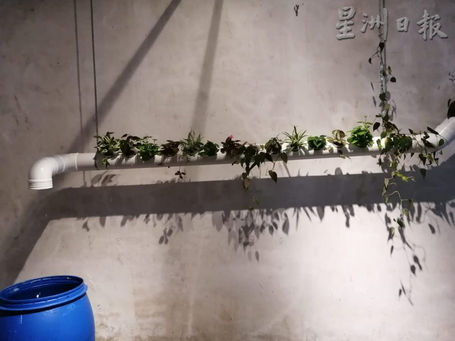 柔：【特稿】： 展览“巴刹实验场”  换个方式了解公共巴刹